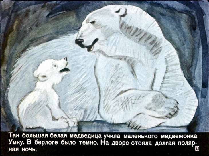Кадр 3 диафильма «Умка»