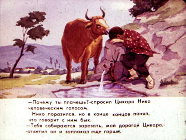 Кадр 7 диафильма «Цикара»