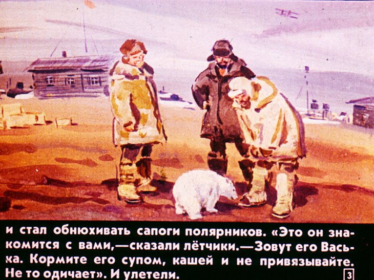 Кадр 3 диафильма «Медвежонок Васька»