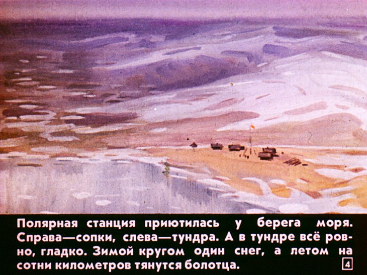 Кадр 4 диафильма «Медвежонок Васька»