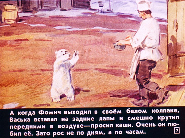 Кадр 7 диафильма «Медвежонок Васька»