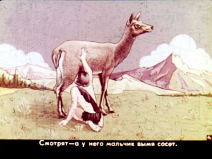 Кадр 5 диафильма «Олененок. Часть 1»