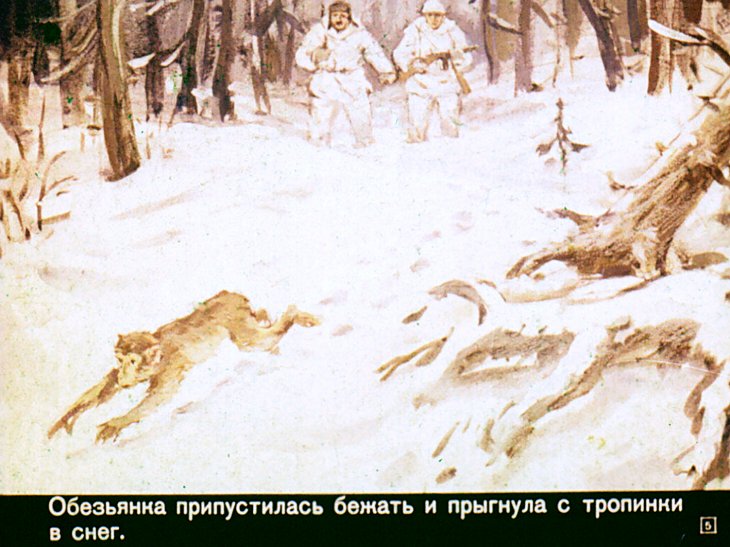 Кадр 5 диафильма «Цунька»