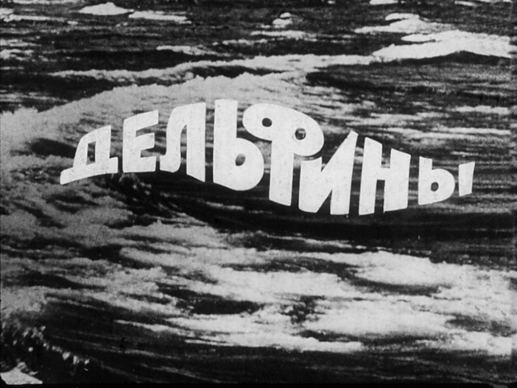 Кадр 1 диафильма «Дельфины»