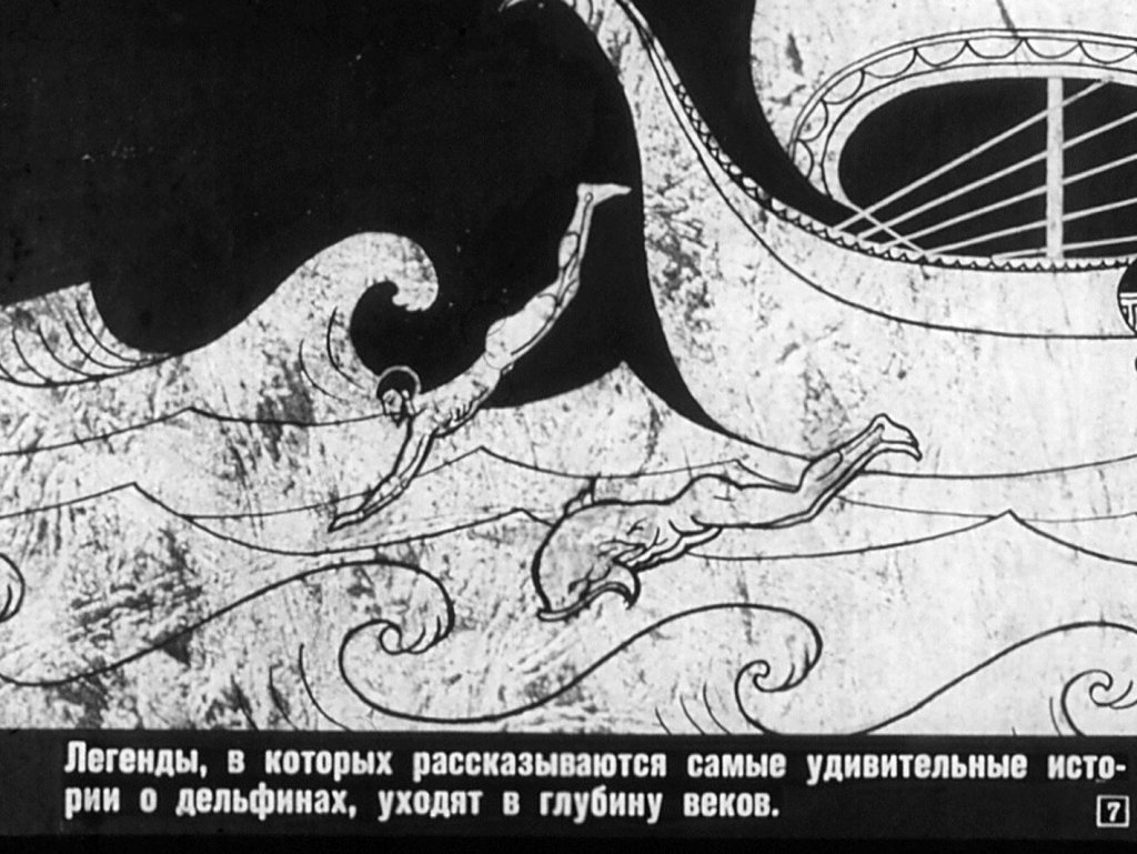 Кадр 7 диафильма «Дельфины»