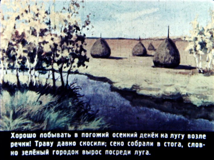 Кадр 5 диафильма «Кто как к зиме готовится»