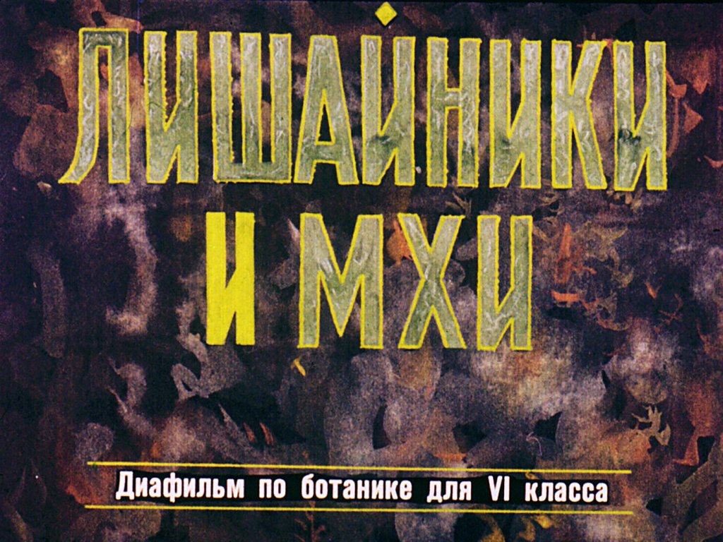 Кадр 1 диафильма «Лишайники и мхи»