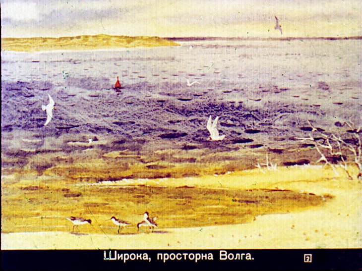Кадр 2 диафильма «Путешествие к пеликанам»