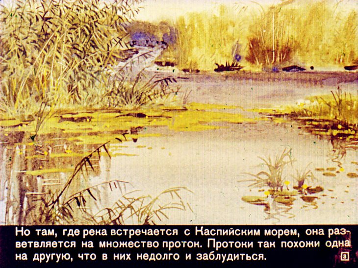 Кадр 3 диафильма «Путешествие к пеликанам»