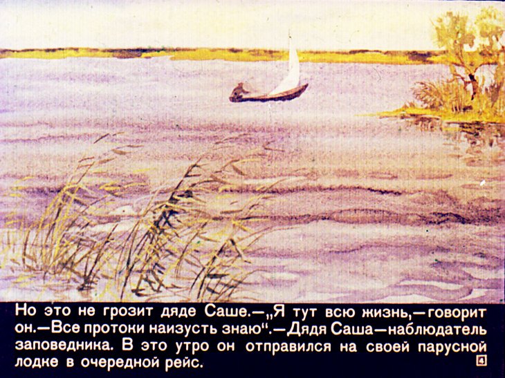Кадр 4 диафильма «Путешествие к пеликанам»