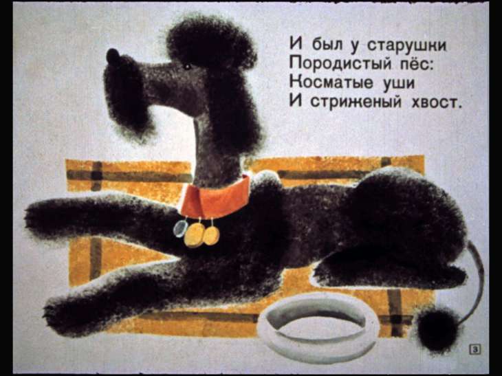 Кадр 3 диафильма «Пудель»