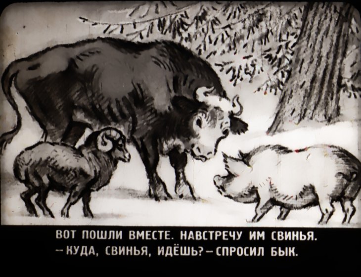 Кадр 3 диафильма «Зимовье зверей»
