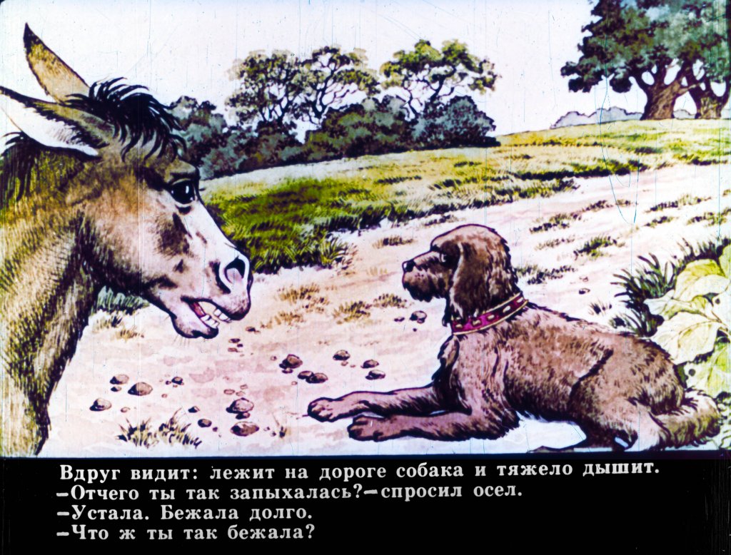 Кадр 5 диафильма «Бременские музыканты»