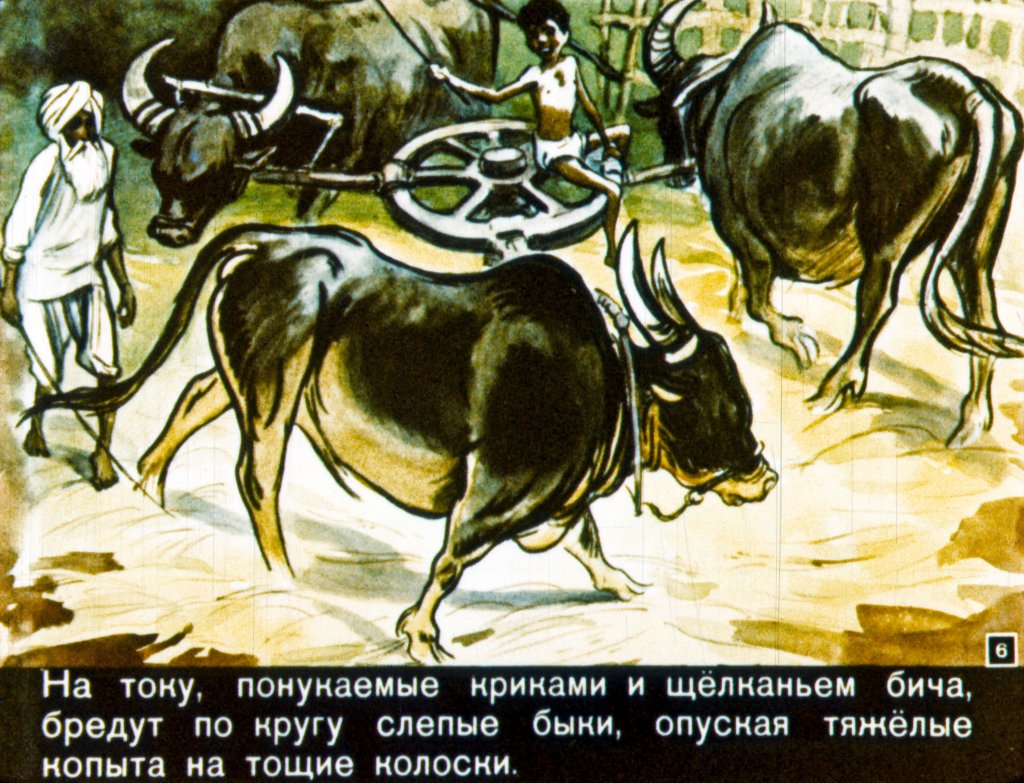 Кадр 6 диафильма «Плотина Амара»