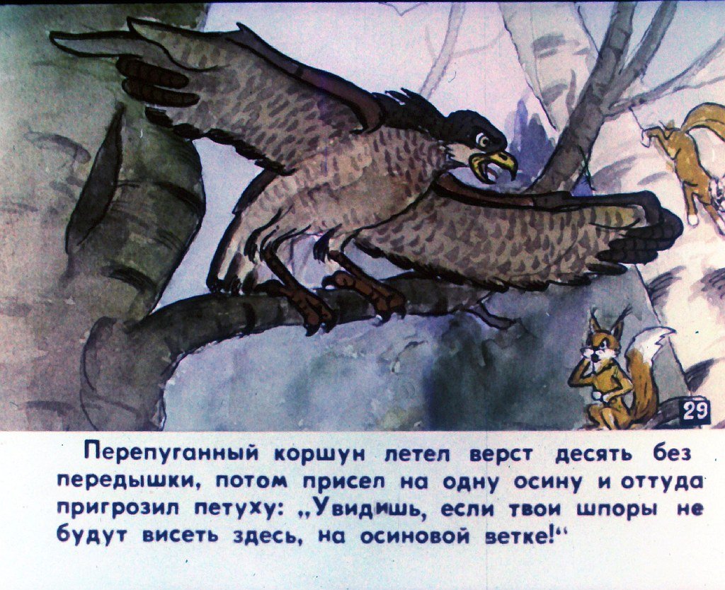 Кадр 3 диафильма «Наш петух. Часть 2»