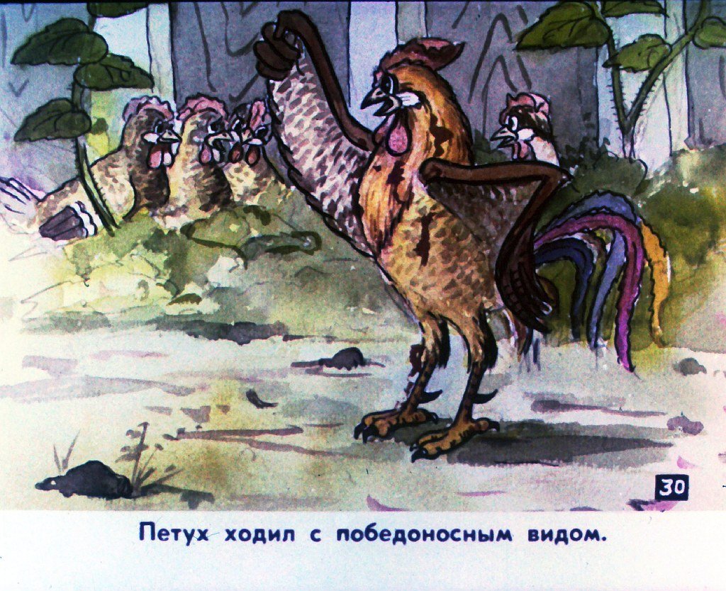Кадр 4 диафильма «Наш петух. Часть 2»