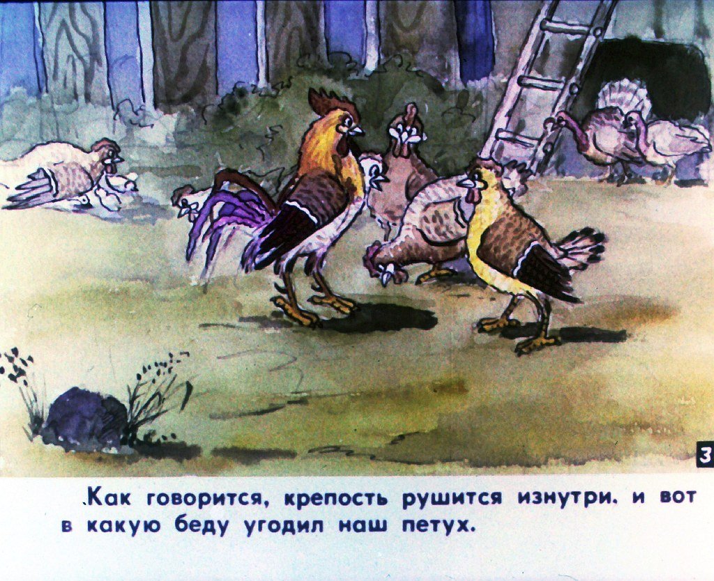 Кадр 5 диафильма «Наш петух. Часть 2»