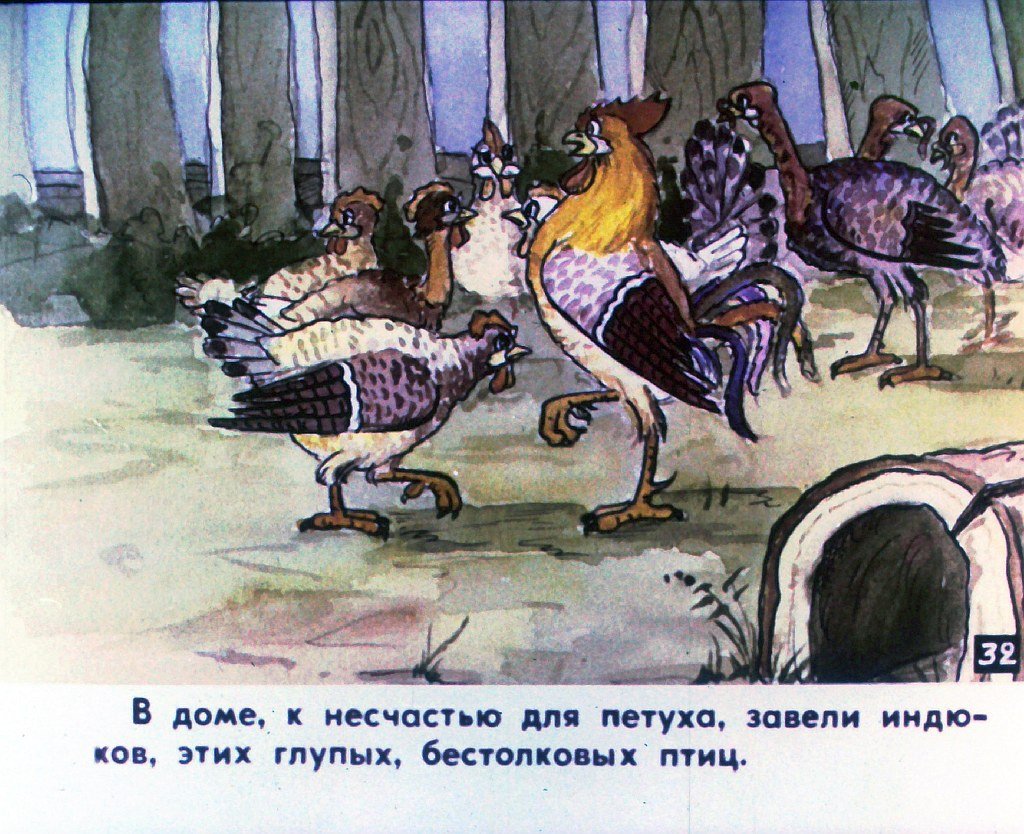 Кадр 6 диафильма «Наш петух. Часть 2»