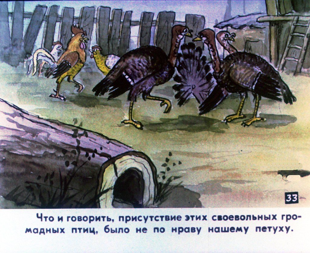 Кадр 7 диафильма «Наш петух. Часть 2»