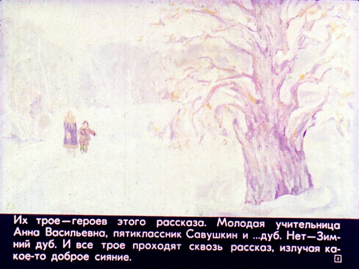 Кадр 3 диафильма «Зимний дуб»