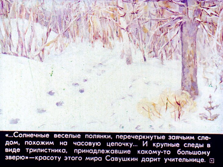 Кадр 7 диафильма «Зимний дуб»