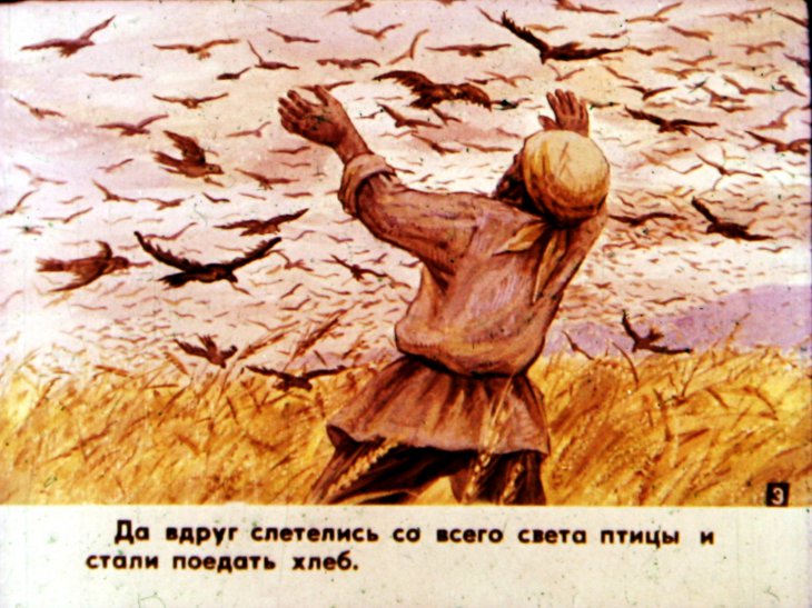 Кадр 4 диафильма «Подарки черного ворона»