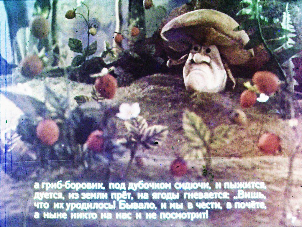 Кадр 7 диафильма «Война грибов с ягодами»