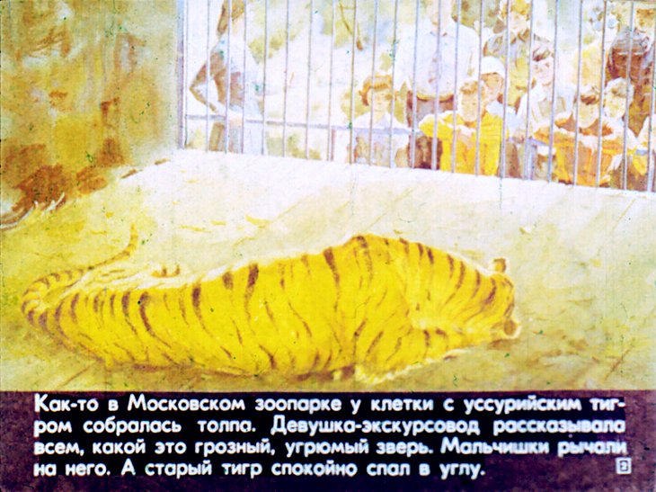 Кадр 2 диафильма «Рассказ о таежном докторе»