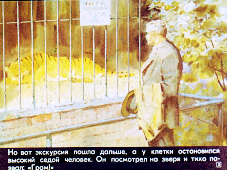 Кадр 3 диафильма «Рассказ о таежном докторе»