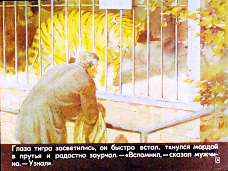 Кадр 4 диафильма «Рассказ о таежном докторе»