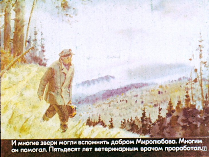 Кадр 7 диафильма «Рассказ о таежном докторе»
