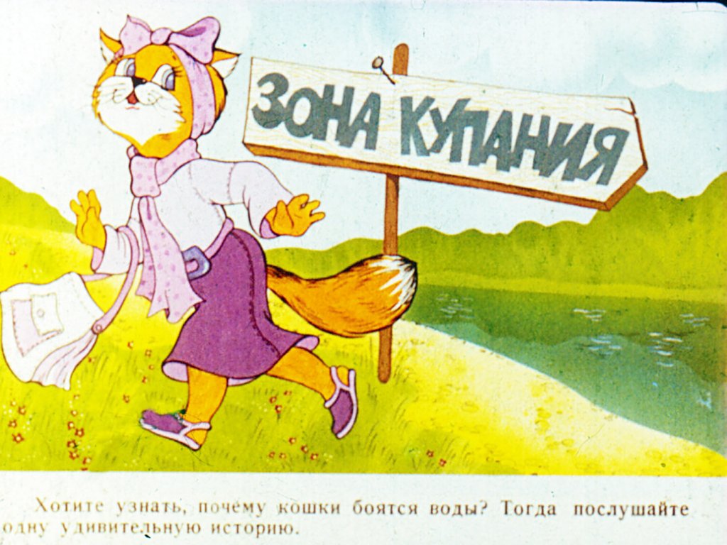 Кадр 2 диафильма «Почему кошки боятся воды»