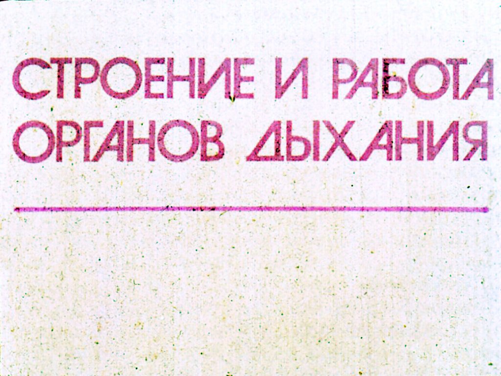 Кадр 1 диафильма «Строение и работа органов дыхания»