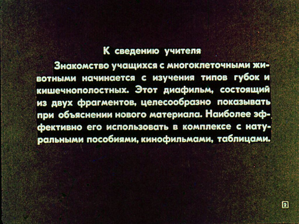 Кадр 2 диафильма «Губки и кишечнополостные»