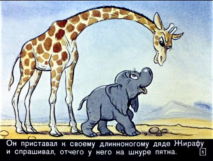 Кадр 5 диафильма «Слоненок»