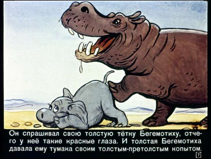 Кадр 7 диафильма «Слоненок»