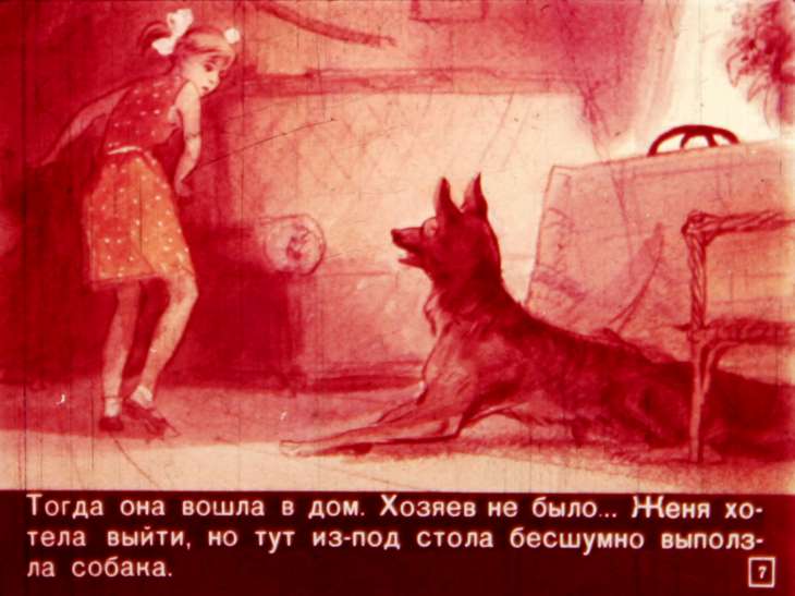 Кадр 7 диафильма «Тимур и его команда. Часть 1»