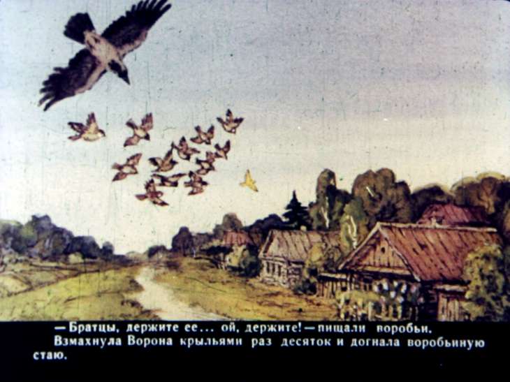 Кадр 7 диафильма «Сказочка про Воронушку - черную головушку и про желтую птичку Канарейку»