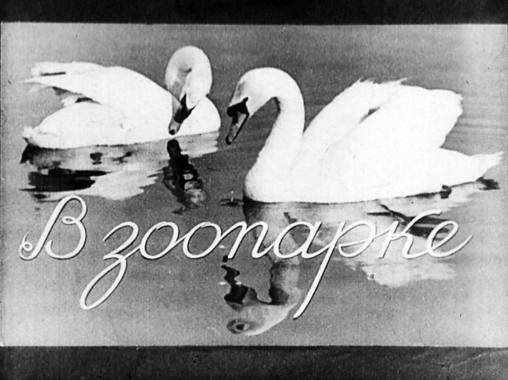 Кадр 1 диафильма «В зоопарке»