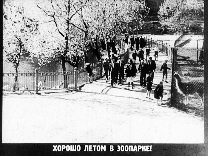 Кадр 3 диафильма «В зоопарке»