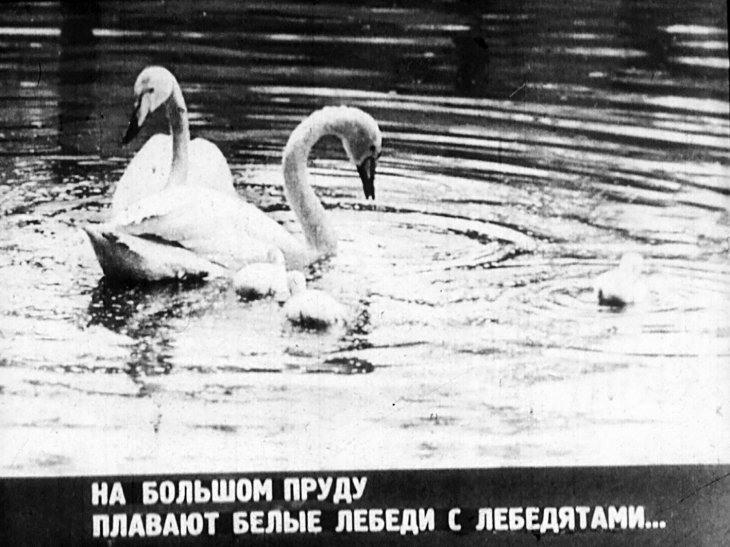Кадр 4 диафильма «В зоопарке»
