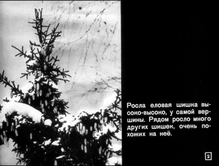 Кадр 2 диафильма «Росла еловая шишка»