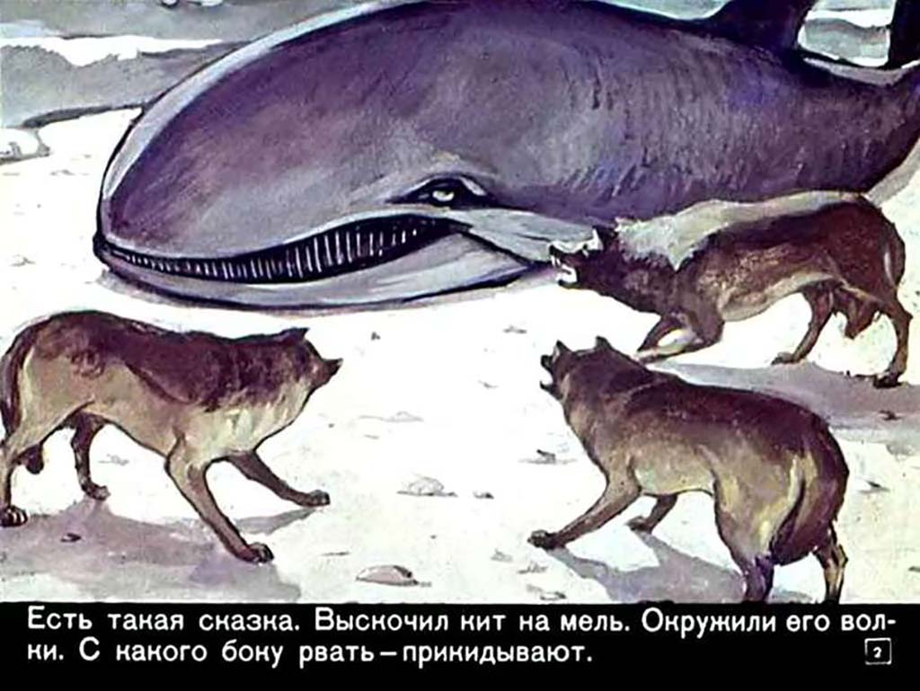Кадр 1 диафильма «Ветер над волнами»