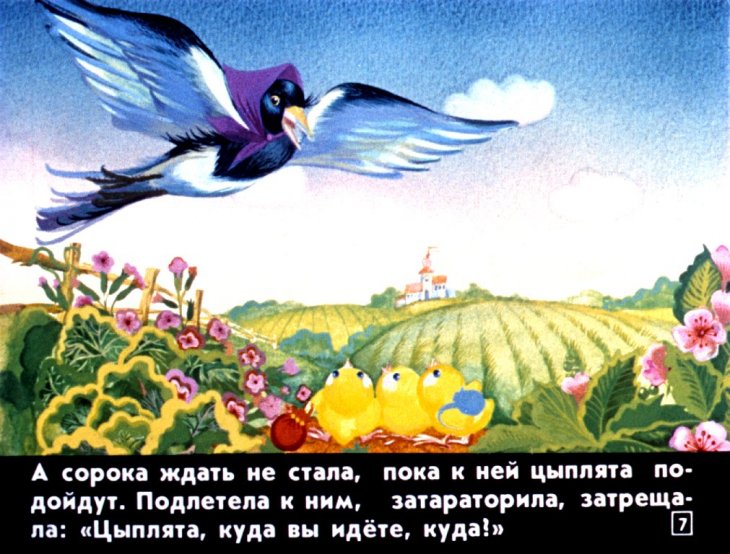 Кадр 7 диафильма «У солнышка в гостях»