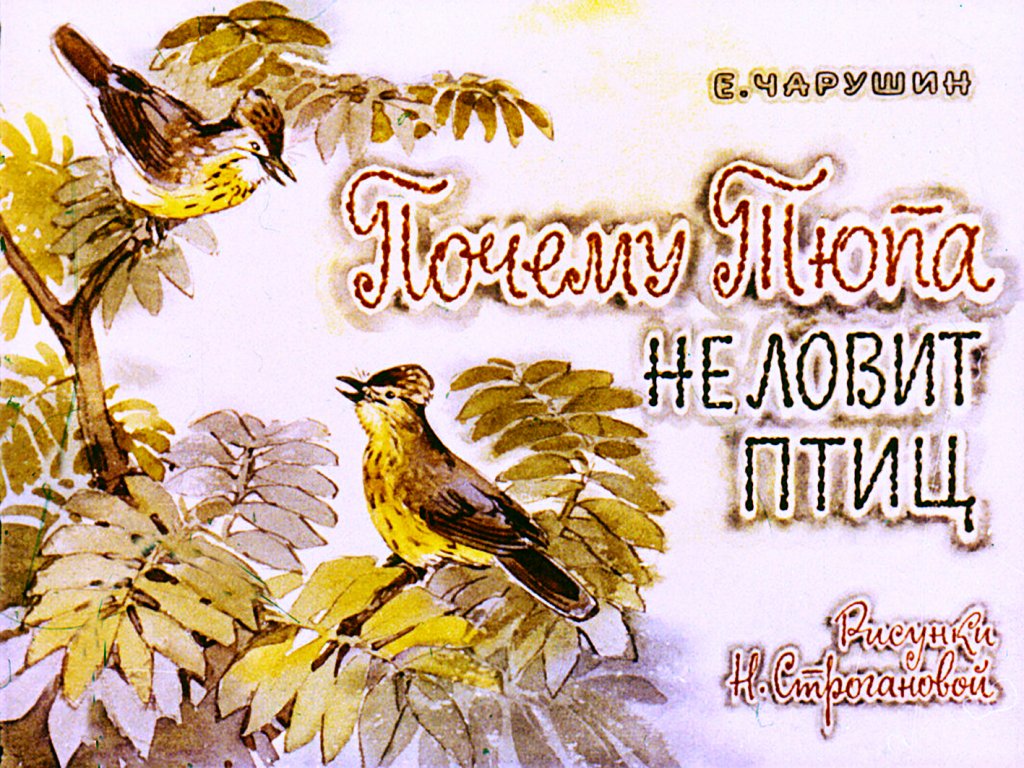 Кадр 1 диафильма «Почему Тюпа не ловит птиц»