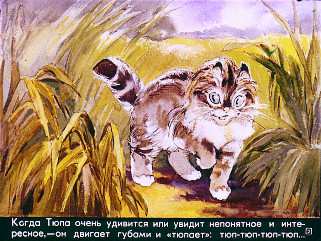 Кадр 2 диафильма «Почему Тюпа не ловит птиц»