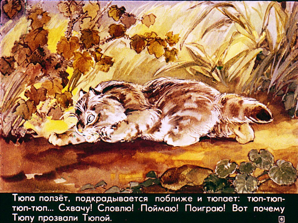 Кадр 6 диафильма «Почему Тюпа не ловит птиц»