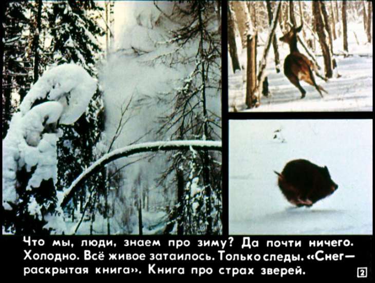 Кадр 2 диафильма «Сказки русского леса»