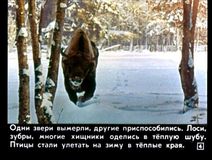 Кадр 4 диафильма «Сказки русского леса»
