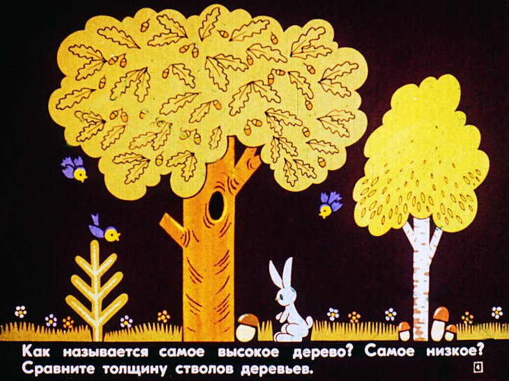 Кадр 5 диафильма «Цвет, размер и форма предмета»